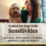 Merrick Limited Ingredient Diet Grain Free Adult Dry Dog Food - Natural, Lamb & Sweet Potato - Image 3