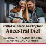 Merrick? Backcountry? Adult Dry Dog Food - Natural, Freeze Dried Raw, Grains, Beef, Lamb & Rabbit - Image 4