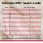 Merrick? Backcountry? Adult Dry Dog Food - Natural, Freeze Dried Raw, Grains, Beef, Lamb & Rabbit - Image 6