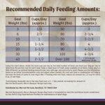 Merrick? Backcountry? Grain Free Adult Dry Dog Food - Natural, Freeze Dried Raw Bits, Beef & Turkey - Image 6