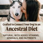 Merrick? Backcountry? Grain Free Adult Dry Dog Food - Natural, Freeze Dried Raw, Salmon & Whitefish - Image 5