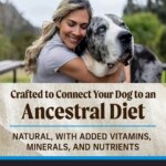 Merrick? Backcountry? Grain Free Large Breed Adult Dry Dog Food - Natural, Chicken & Lamb - Image 5