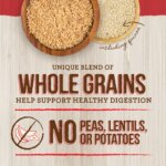 Merrick? Healthy Grains? Adult Dry Dog Food - Natural, Beef & Brown Rice with Ancient Grains - Image 6