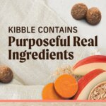 Merrick? Healthy Grains? Adult Dry Dog Food - Natural, Real Salmon & Brown Rice with Ancient Grains - Image 2