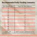 Merrick? Healthy Grains? Adult Dry Dog Food - Natural, Real Salmon & Brown Rice with Ancient Grains - Image 6