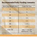 Merrick? Lil' Plates? Grain Free Small Breed Adult Dry Dog Food - Natural, Chicken & Sweet Potato - Image 6