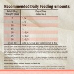 Merrick? Lil' Plates? Grain Free Small Breed Adult Dry Dog Food - Natural, Salmon & Sweet Potato - Image 5