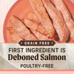 Merrick? Lil' Plates? Grain Free Small Breed Adult Dry Dog Food - Natural, Salmon & Sweet Potato - Image 7