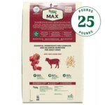 NUTRO MAX? Adult Dry Dog Food - Beef - Image 2