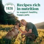 NUTRO MAX? Adult Dry Dog Food - Beef - Image 5