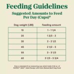 NUTRO MAX? Adult Dry Dog Food - Beef - Image 6