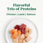 NUTRO ULTRA? Adult Dry Dog Food - Chicken, Lamb, Salmon - Image 2