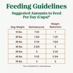 NUTRO ULTRA? Adult Dry Dog Food - Weight Management, Chicken, Lamb, Salmon - Image 6