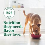 NUTRO ULTRA? Large Breed Adult Dry Dog Food - Chicken, Lamb, Salmon - Image 5