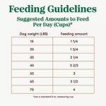 NUTRO ULTRA? Senior Dry Dog Food - Chicken, Lamb, Salmon - Image 6