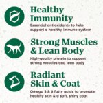 NUTRO ULTRA? Small Breed Adult Dry Dog Food - Chicken, Lamb, Salmon - Image 3