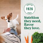 NUTRO ULTRA? Small Breed Adult Dry Dog Food - Chicken, Lamb, Salmon - Image 5