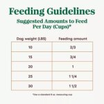 NUTRO ULTRA? Small Breed Adult Dry Dog Food - Chicken, Lamb, Salmon - Image 6