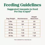 NUTRO ULTRA? Small Breed Adult Dry Dog Food - Weight Management, Chicken, Lamb, Salmon - Image 6