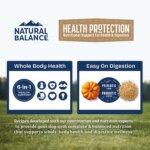 Natural Balance Health Protection Adult Dog Dry Food - Lamb, Brown Rice & Pumpkin - Image 6
