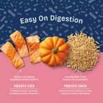 Natural Balance Health Protection Adult Dog Dry Food - Salmon, Brown Rice & Pumpkin - Image 3