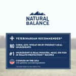 Natural Balance Health Protection Adult Dog Dry Food - Salmon, Brown Rice & Pumpkin - Image 7