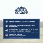 Natural Balance Health Protection Adult Dry Dog Food - Chicken, Brown Rice & Pumpkin - Image 6