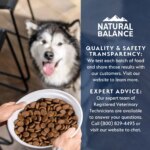 Natural Balance Health Protection Adult Dry Dog Food - Chicken, Brown Rice & Pumpkin - Image 8