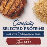 Natural Balance Limited Ingredient Diet Adult Dry Dog Food - Beef & Brown Rice - Image 4