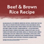 Natural Balance Limited Ingredient Diet Adult Dry Dog Food - Beef & Brown Rice - Image 5