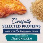 Natural Balance Limited Ingredient Diets Adult Dry Dog Food - Chicken & Brown Rice - Image 4