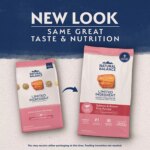 Natural Balance Limited Ingredient Diets Adult Dry Dog Food - Salmon & Brown Rice - Image 2