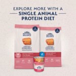 Natural Balance Limited Ingredient Diets Adult Dry Dog Food - Salmon & Brown Rice - Image 4