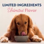 Natural Balance Limited Ingredient Diets Adult Dry Dog Food - Salmon & Brown Rice - Image 9