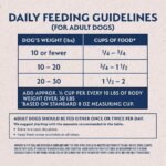 Natural Balance Limited Ingredient Small Breed Adult Dry Dog Food - Salmon & Sweet Potato - Image 6