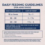 Natural Balance Limited Ingredient With-Grain Small Breed Adult Dry Dog Food - Lamb & Brown Rice - Image 6