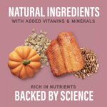 Natural Balance Specialized Nutrition Sensitive Skin & Stomach Adult Dry Dog Food - Salmon & Oatmeal - Image 6