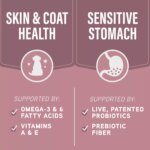 Natural Balance Specialized Nutrition Sensitive Skin & Stomach Adult Dry Dog Food - Salmon & Oatmeal - Image 7