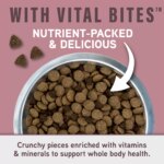 Natural Balance Specialized Nutrition Sensitive Skin & Stomach Adult Dry Dog Food - Salmon & Oatmeal - Image 8