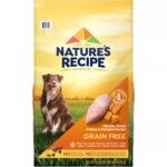Nature's Recipe Adult Dry Dog Food - Chicken, Sweet Potato, Pumpkin