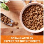 Nature's Recipe Adult Dry Dog Food - Chicken, Sweet Potato, Pumpkin - Image 4
