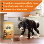 Nature's Recipe Adult Dry Dog Food - Chicken, Sweet Potato, Pumpkin - Image 5