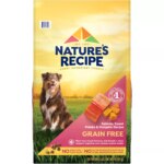 Nature's Recipe Adult Dry Dog Food - Salmon, Sweet Potato, Pumpkin