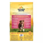 Nature's Recipe Adult Dry Dog Food - Salmon, Sweet Potato, Pumpkin - Image 2