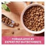 Nature's Recipe Adult Dry Dog Food - Salmon, Sweet Potato, Pumpkin - Image 4