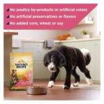 Nature's Recipe Adult Dry Dog Food - Salmon, Sweet Potato, Pumpkin - Image 5