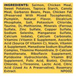 Nature's Recipe Adult Dry Dog Food - Salmon, Sweet Potato, Pumpkin - Image 7