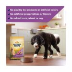 Nature's Recipe Dry Dog Food Adult - Lamb, Rice - Image 5