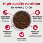 Nulo MedalSeries Adult Dog Dry Food - Beef, Barley & Lamb - Image 3