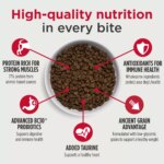 Nulo MedalSeries Adult Dog Dry Food - Salmon, Oats & Haddock - Image 3